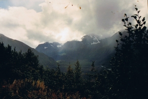 ERR backwindow