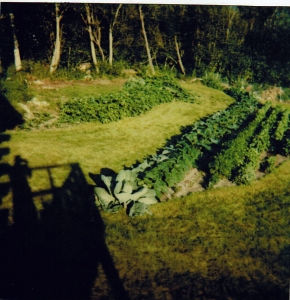 ERR garden